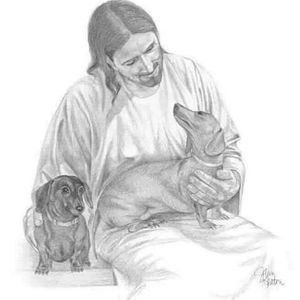 Meet your Posher, Debra